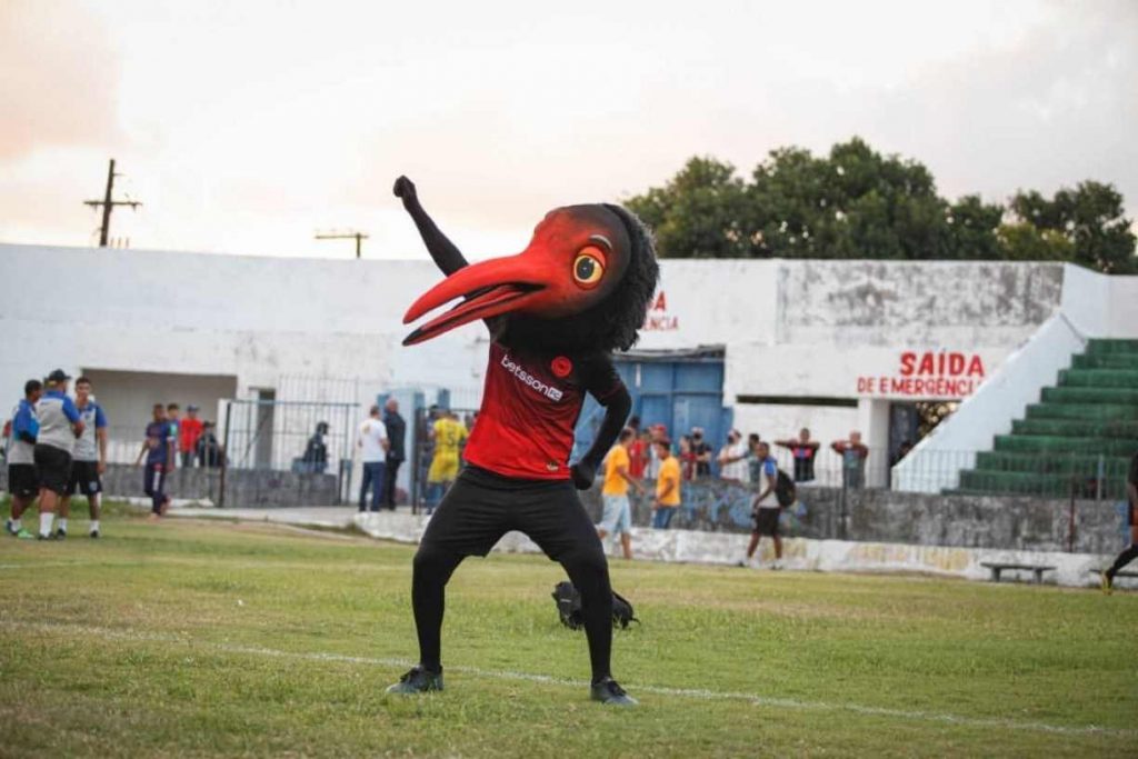 Derrotinha - Pássaro preto - Mascote do Íbis Sport Clube